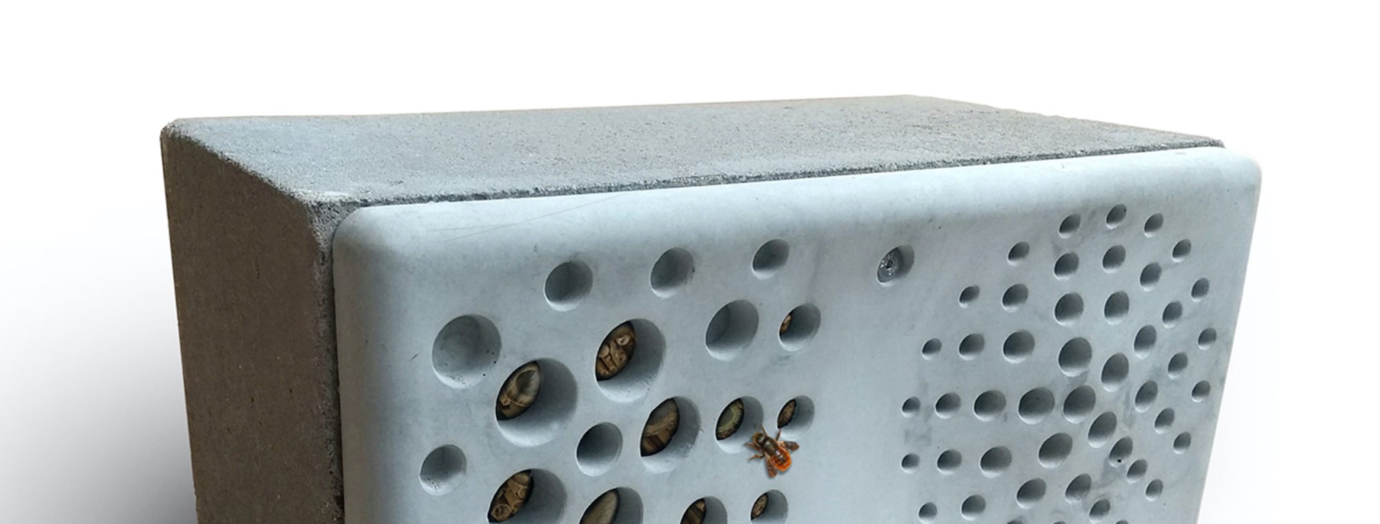 Project Header Image